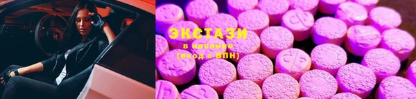 ECSTASY Богданович